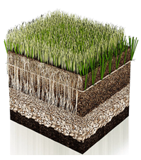 天然人造混合草坪系统，你了解多少？